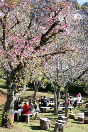 Parque Sakura Home em Campos do Jordão