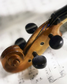 Violino 