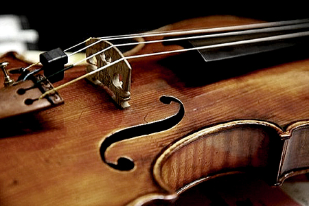 Violino Violino