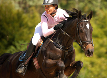 Concurso Hípico no Haras Polana