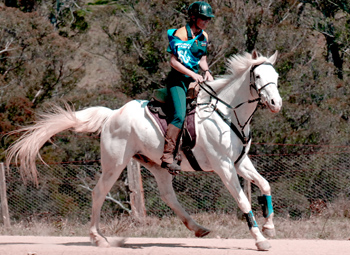 Enduro Equestre