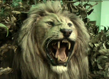 Decoração do evento