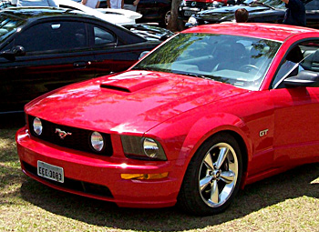 Mustang
