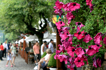 Campos do Jordão Verão 2013