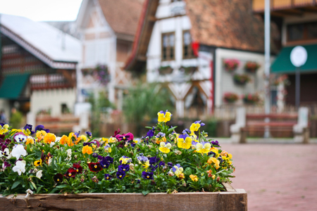 Verão em Campos do Jordão