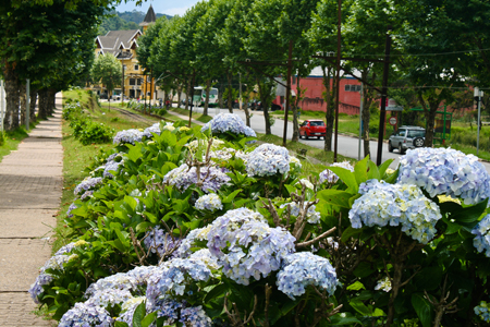 Verão em Campos do Jordão