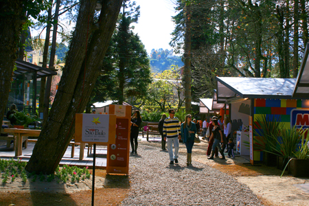 Inverno 2012 em Campos do Jordão