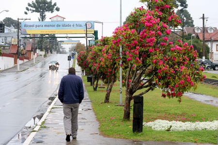 Frio em Campos do Jordão