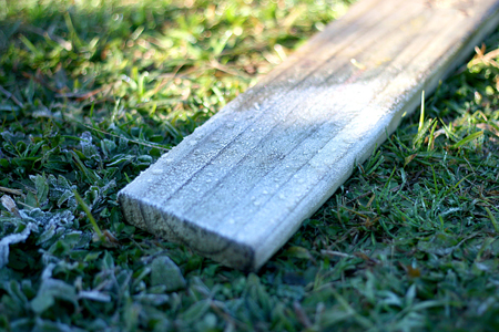 Geada em Campos do Jordão