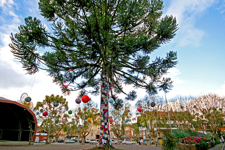 Programação: Corpus Christi 2015 Campos do Jordão 
