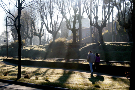 Geada em Campos do Jordão - Foto: Cristiano Tomaz
