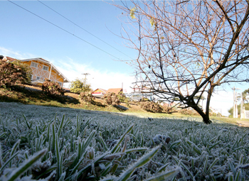 Geada em Campos do Jordão - Foto: Cristiano Tomaz