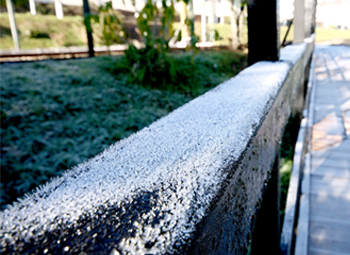 Geada em Campos do Jordão - Foto: Cristiano Tomaz