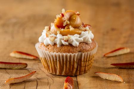 Programação Festa do Pinhão