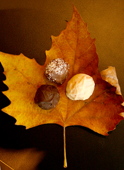 Chocolates no Outono de Campos do Jordão