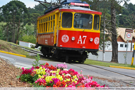 Primavera em Campos do Jordão