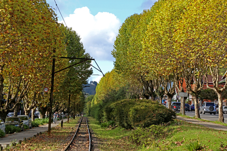 Outono em Campos do Jordão