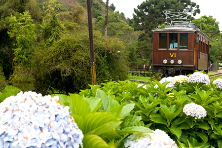 Dia Internacional da Mulher em Campos do Jordão