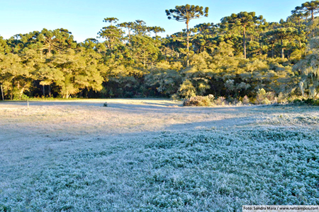 Frio e Geada em Campos do Jordão