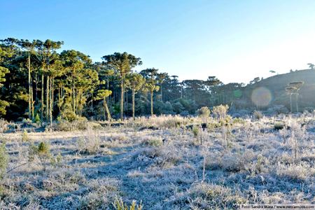 Frio e Geada em Campos do Jordão