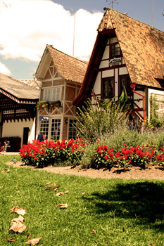 Folhas Secas no gramado - Campos do Jordão 2010