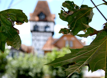 Inicio de Outono 2010 Campos do Jordão