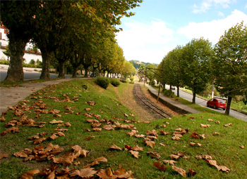 Calçadas com folhas na Avenida