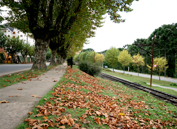 Outono 2011 em Campos do Jordão