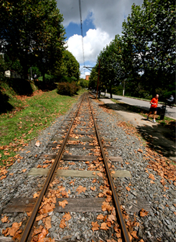 Outono em Campos do Jorrdão