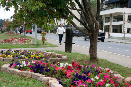 Primavera 2012 Campos do Jordão