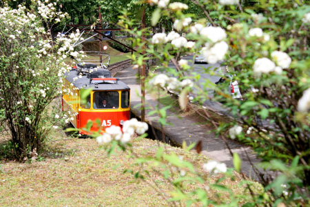 Primavera 2012 Campos do Jordão