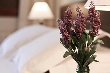 Hot&eacute;is de Luxo