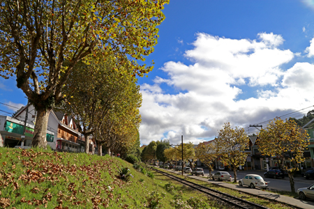 Outono em Campos do Jordão
