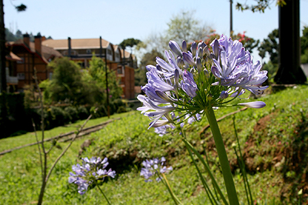 Outubro em Campos do Jordão