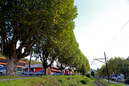 Páscoa 2015 em Campos do Jordão