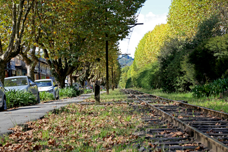 Feriado Tiradentes em Campos do Jordão