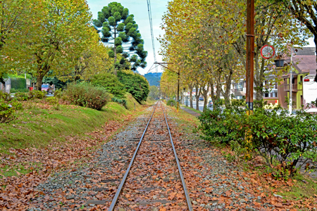 Outono em Campos do Jordão