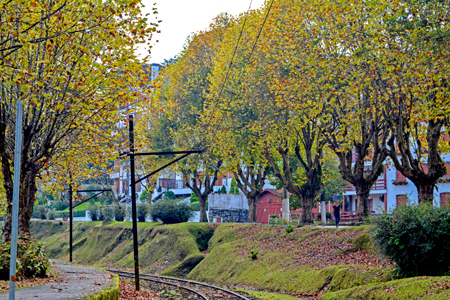 Outono em Campos do Jordão
