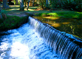Cachoeira no Horto Florestal