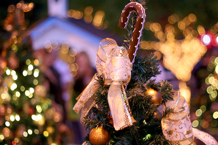 Natal dos Sonhos em Campos do Jordão