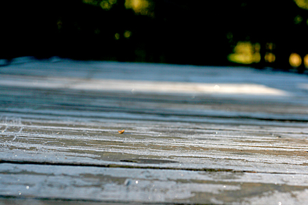 Geada no Porta de Campos do Jordão