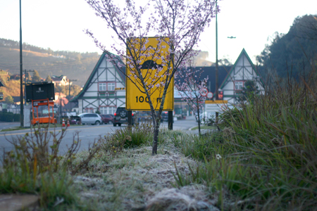 Geada no Porta de Campos do Jordão