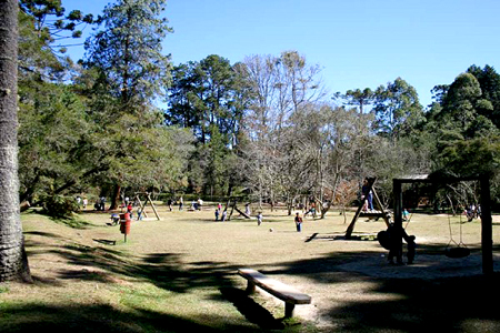 Horto Florestal Campos do Jordão Horto Florestal Campos do Jordão