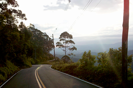 Estrada Lenz Estrada Lenz