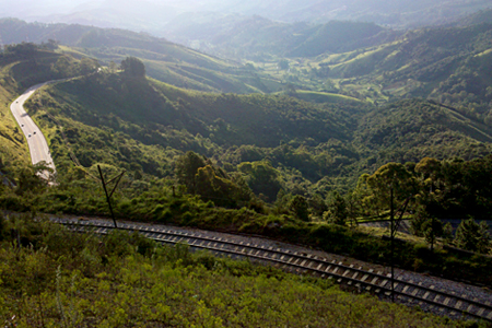 Estrada Lenz Estrada Lenz