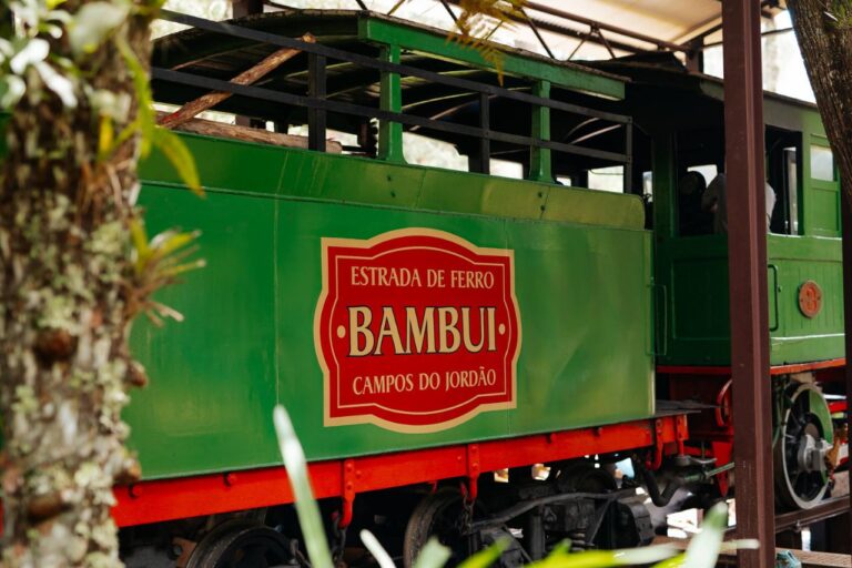 Parque Bambuí oferece entrada gratuita a professores durante a Semana do Saco Cheio em Campos do Jordão