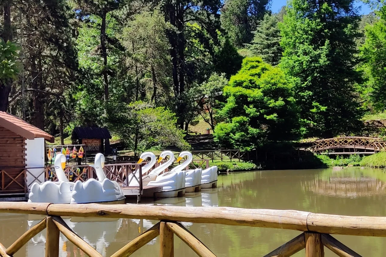 Férias de Verão em Campos do Jordão – Parque do Horto Florestal