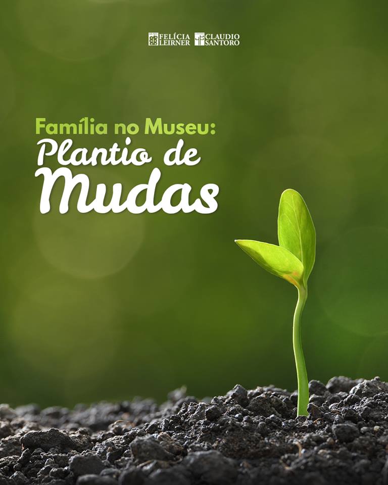 plantio-de-mudas