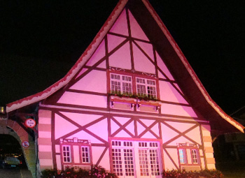 Portal na entrada de Campos do Jordão fica Rosa durante outubro
