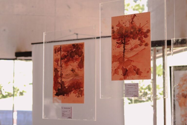 Exposição em Campos do Jordão destaca o uso do vinho na pintura de aquarelas